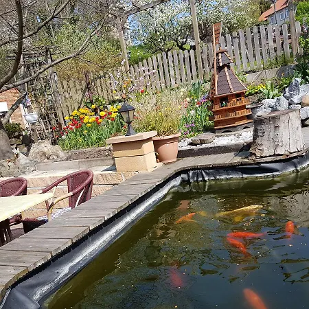 An Der Stadtmauer بيت ضيافة 3*